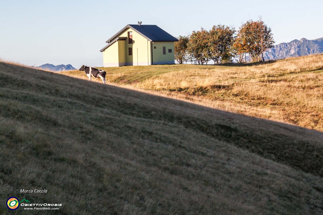 Piazza Brembana - Passo S. Marco per creste-5.JPG